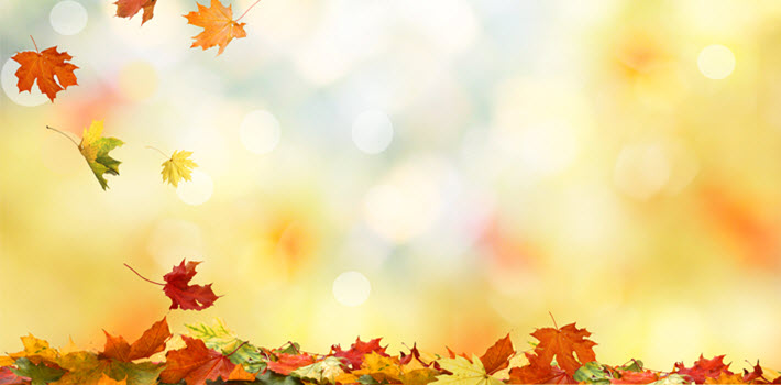 Tips to Maintain Your Car During the Fall Season